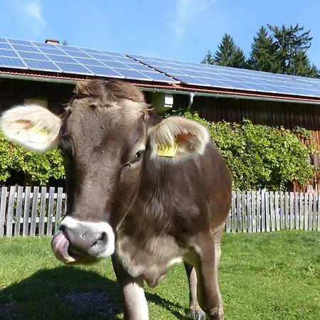 Spacious Inviting Near Fussen In The Allgau Region In Bavaria *