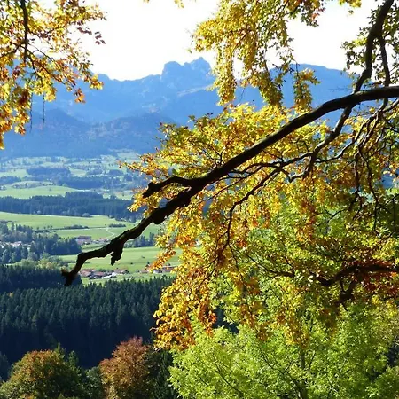 Spacious Inviting Near Fussen In The Allgau Region In Bavaria הופראו